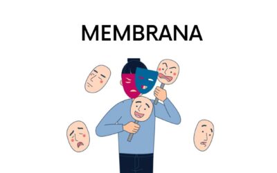 Funkcija membrane