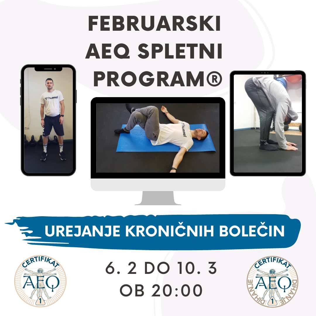 AEQ spletni program februar